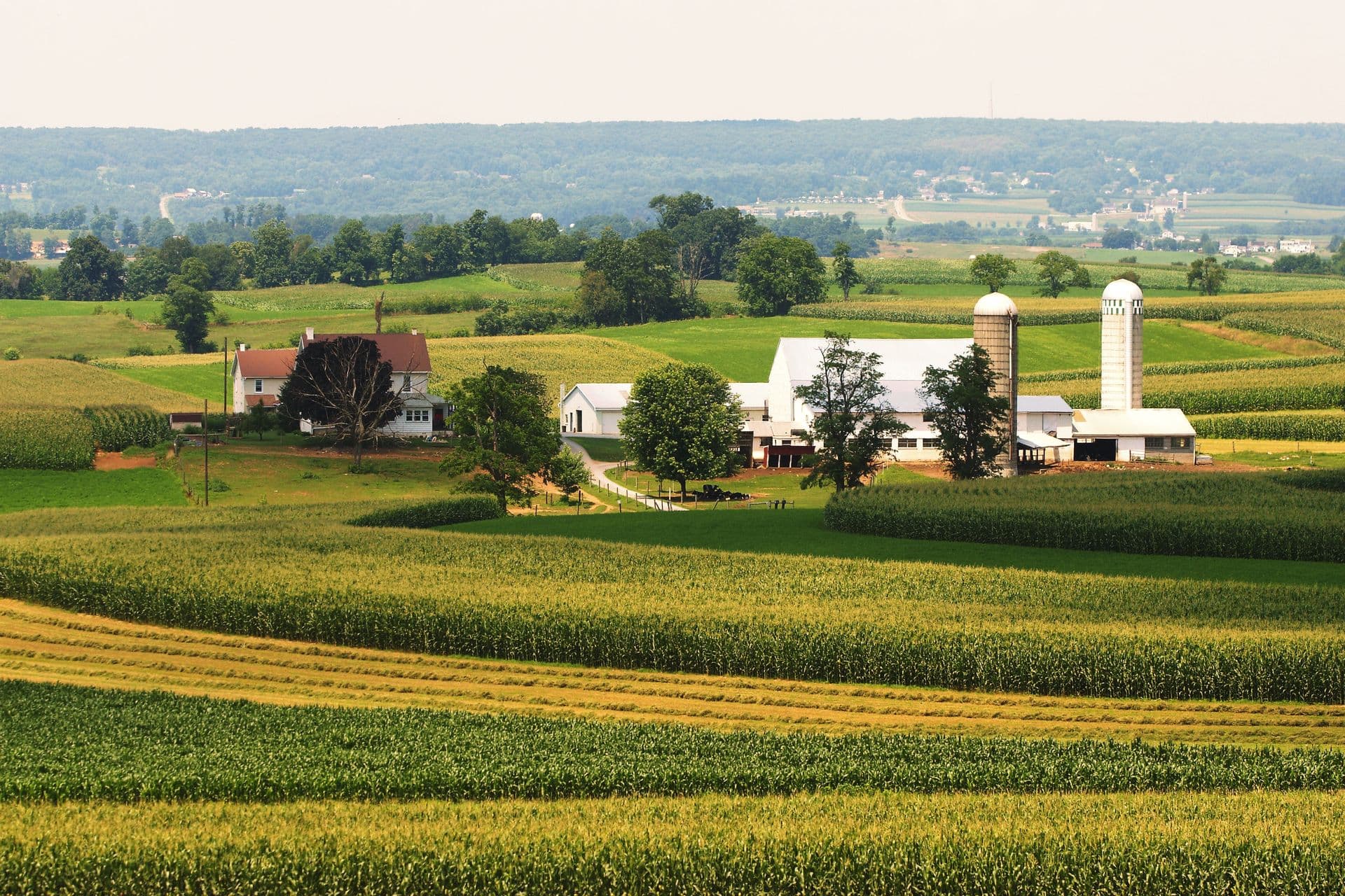 Farmalnd with barns and fields